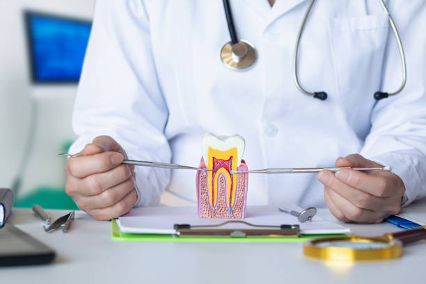 Best Emergency Dental Care for Abscessed Tooth in Hazardville, CT